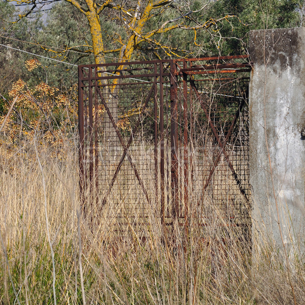rusty gate overgrown plants Stock photo © sirylok