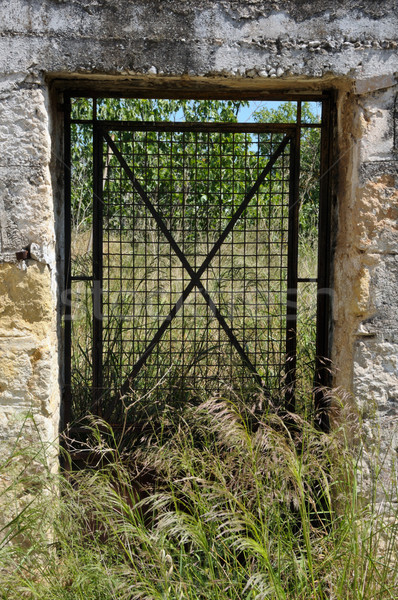 vintage metal door Stock photo © sirylok