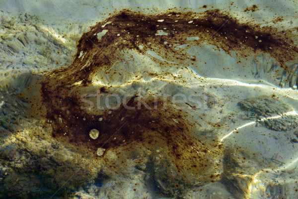 tar oil sea Stock photo © sirylok