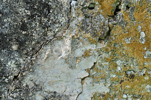 Grunge steen oppervlak gebarsten macro textuur Stockfoto © sirylok