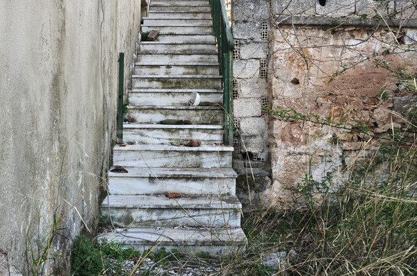 abandoned staircase and overgrown plants Stock photo © sirylok
