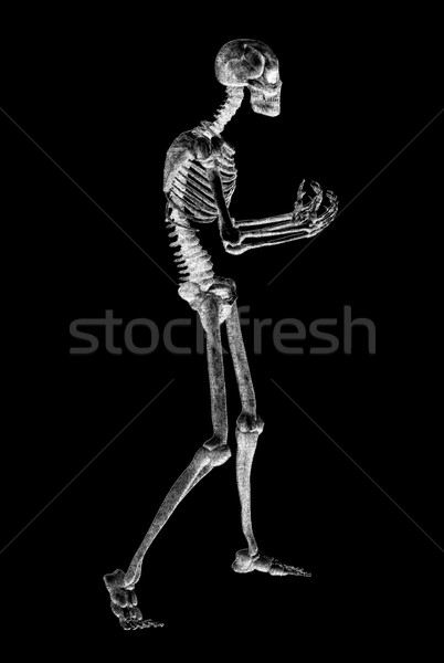 skeleton illustration Stock photo © sirylok