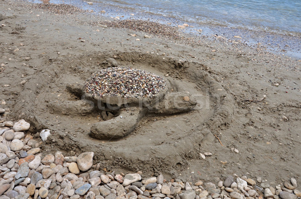 sea turtle sandy beach Stock photo © sirylok