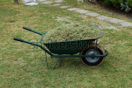 wheelbarrow cut grass lawn Stock photo © sirylok