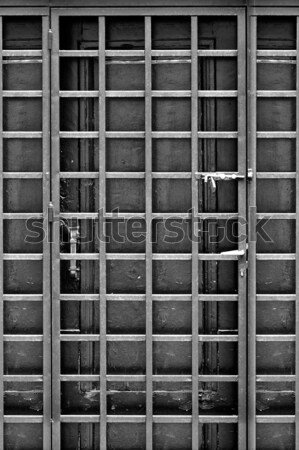 Stock photo: barred door