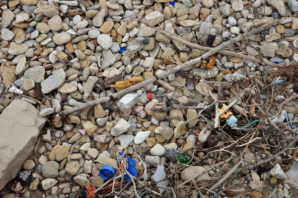 Plástico troncos pedra praia poluição Foto stock © sirylok