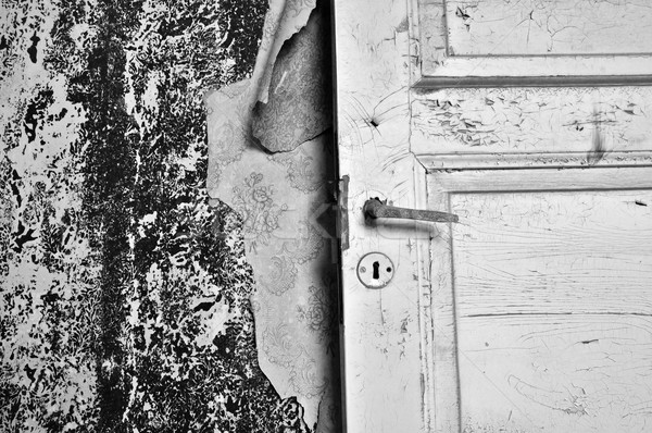 Rozdarty tapety starych drzwi opuszczony domu Zdjęcia stock © sirylok