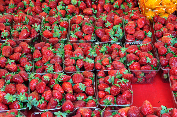 Fresa frutas maduro fresas plástico Foto stock © sirylok