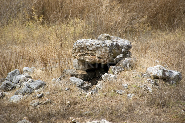 ancient stone well Stock photo © sirylok
