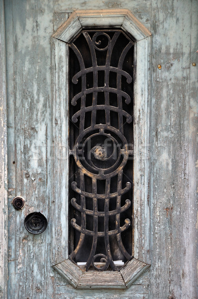 vintage door Stock photo © sirylok