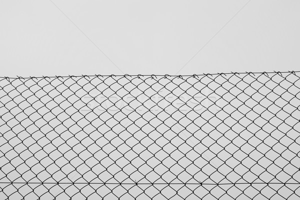 chain link fence wire netting Stock photo © sirylok