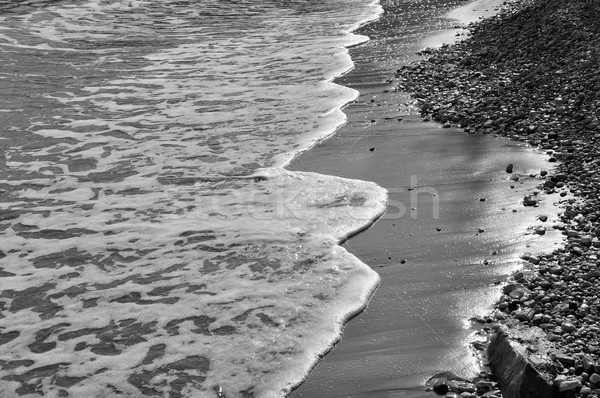 waves beach Stock photo © sirylok