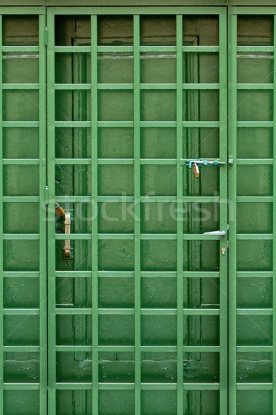 green door Stock photo © sirylok