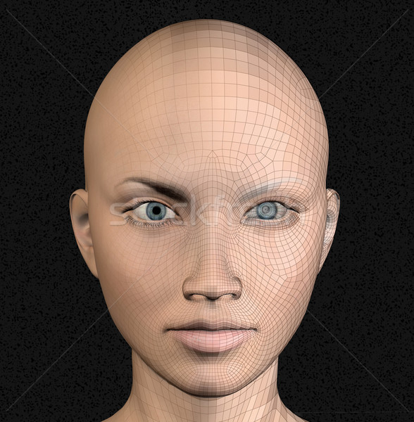 Android 3D-Darstellung weiblichen Figur Draht Rahmen Stock foto © sirylok