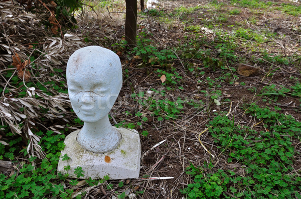 mannequin styrofoam head Stock photo © sirylok