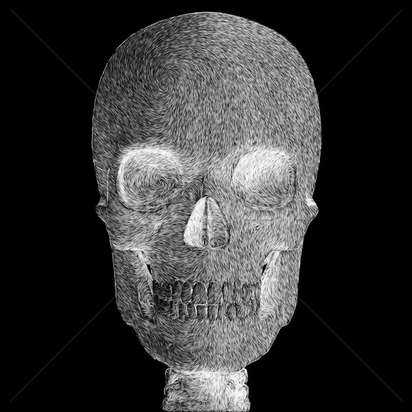 skull illustration Stock photo © sirylok