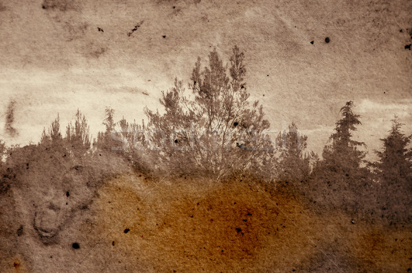 fading forest Stock photo © sirylok