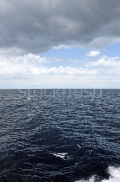 restless sea Stock photo © sirylok