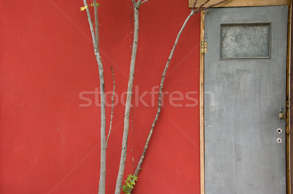 door and tree branches Stock photo © sirylok