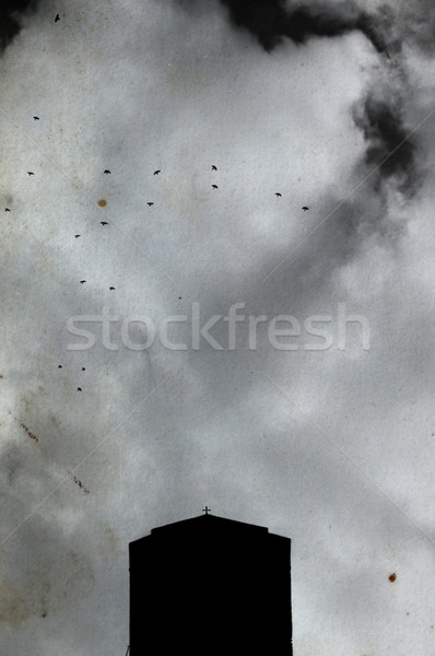 monastery flying birds Stock photo © sirylok