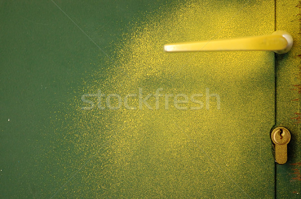 yellow paint green door Stock photo © sirylok