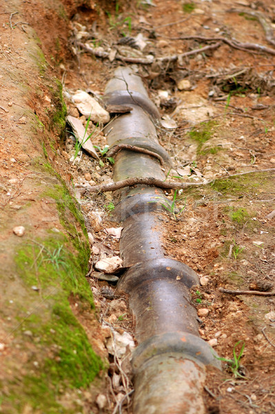 Csővezeték föld víz csövek természet zöld Stock fotó © sirylok