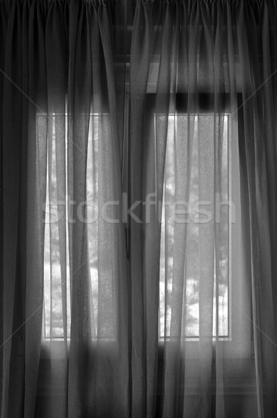 window curtain Stock photo © sirylok