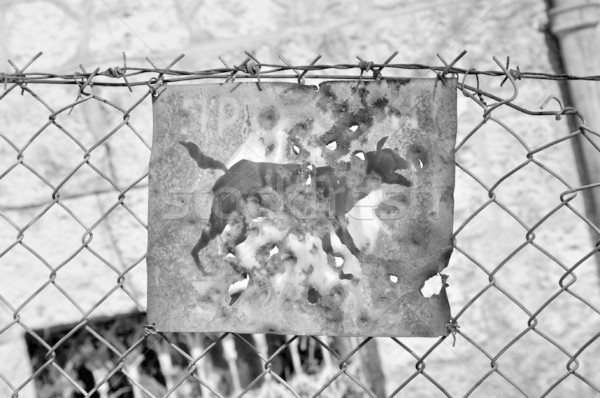 beware of the dog rusty sign Stock photo © sirylok