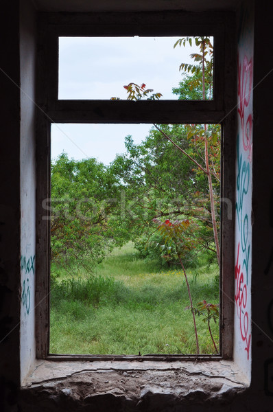 window frame abstract landscape Stock photo © sirylok