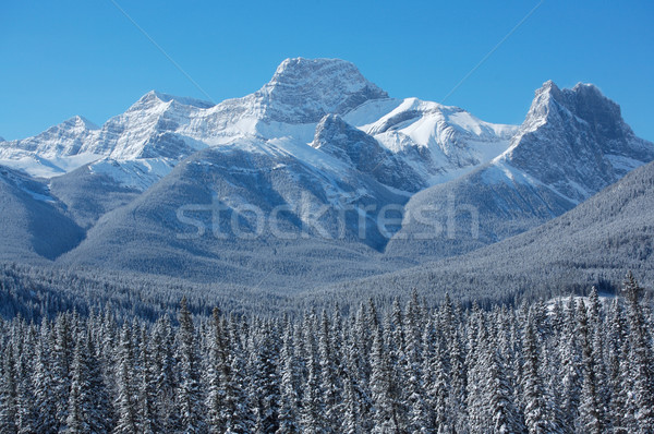 Winter scene of Mount Lougheed 02 Stock photo © skylight