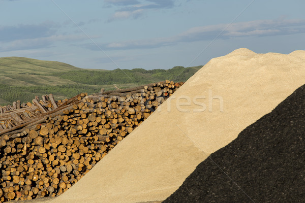 Madera chips grande aserradero textura Foto stock © skylight