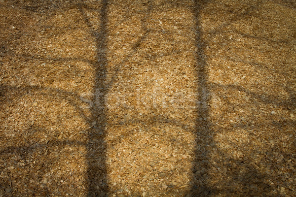 Drewna chipy drzewo cień Zdjęcia stock © skylight