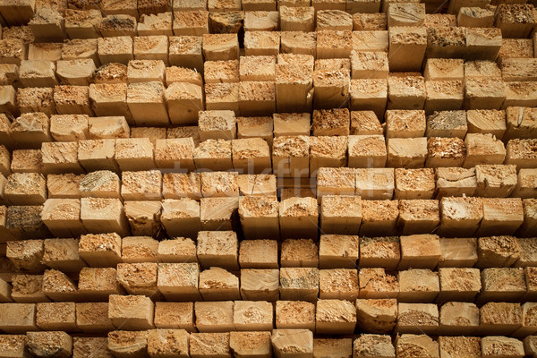 Rau geschnitten Holz gestapelt Sägewerk Stock foto © skylight