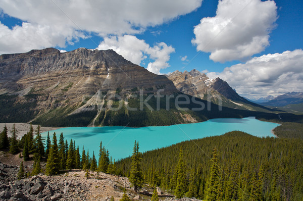 Peyto Lake in Banff National Park Stock photo © skylight