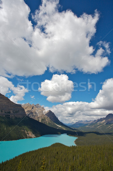 Lago parque Foto stock © skylight