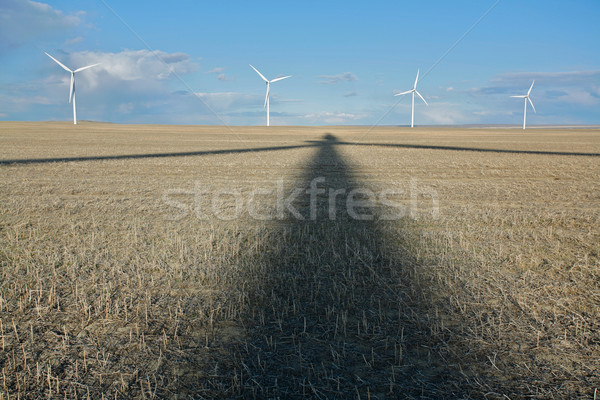 Windkraftanlage Schatten Stoppeln Bereich Stock foto © skylight
