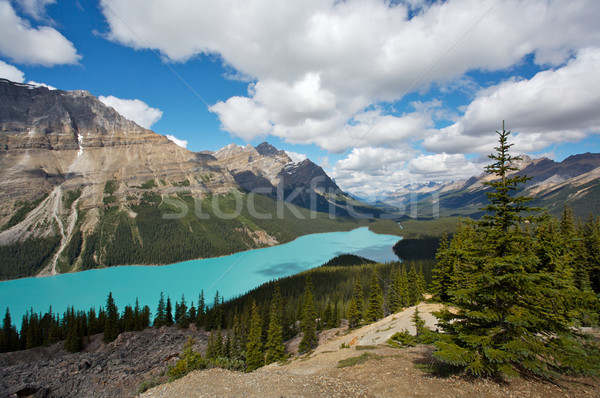 Lago parque montanhas Canadá Foto stock © skylight