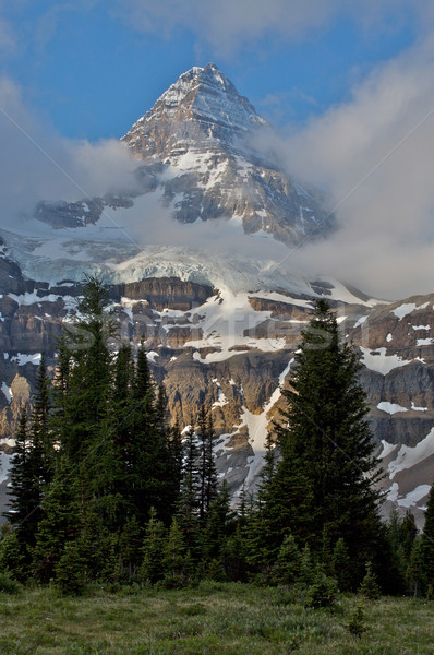Mount Assiniboine Stock photo © skylight