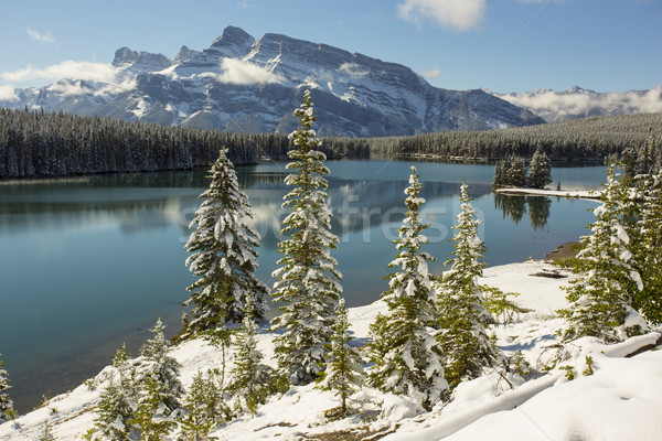 Two Jack Lake, Banff National Park Stock photo © skylight