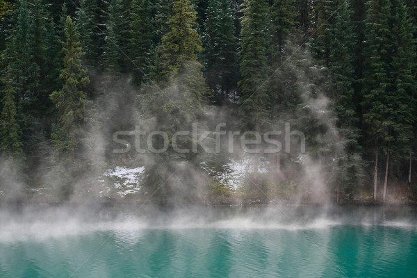Emelkedő köd alpesi tó kora reggel Stock fotó © skylight