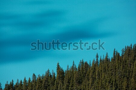 árvores alpino lago nuvem sombras Foto stock © skylight