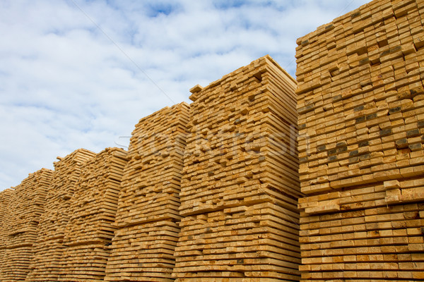 Rau geschnitten Holz gestapelt Sägewerk Holz Stock foto © skylight