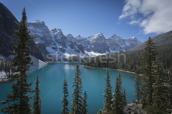 Morena jezioro parku piękna świetle śniegu Zdjęcia stock © skylight