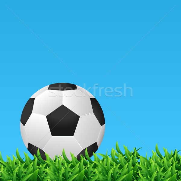 Futebol vetor projeto futebol verão preto Foto stock © smarques27