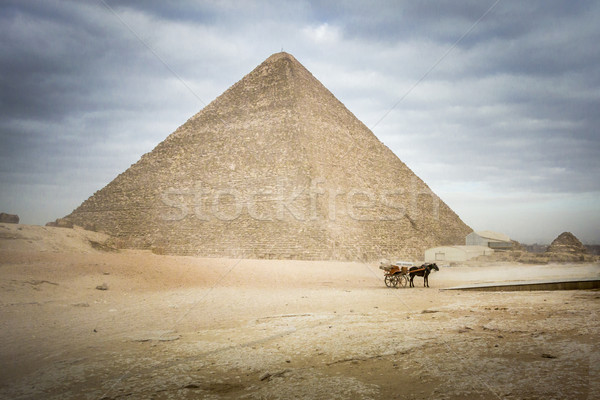 Zdjęcia stock: Piramidy · giza · konia · pierwszy · plan