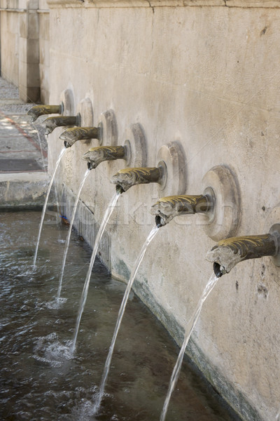 25 Brunnen Spanien Detail Schlange Stock foto © smartin69