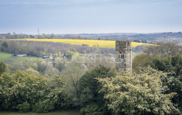Sussex bitwa widoku wieża opactwo Zdjęcia stock © smartin69