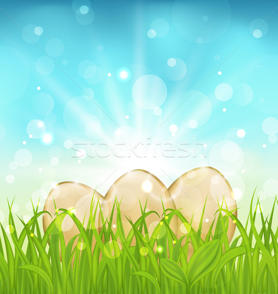 Easter background with eggs in grass Stock photo © smeagorl