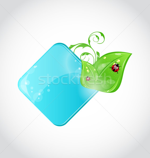 Belle icône feuilles vertes coccinelles illustration printemps [[stock_photo]] © smeagorl
