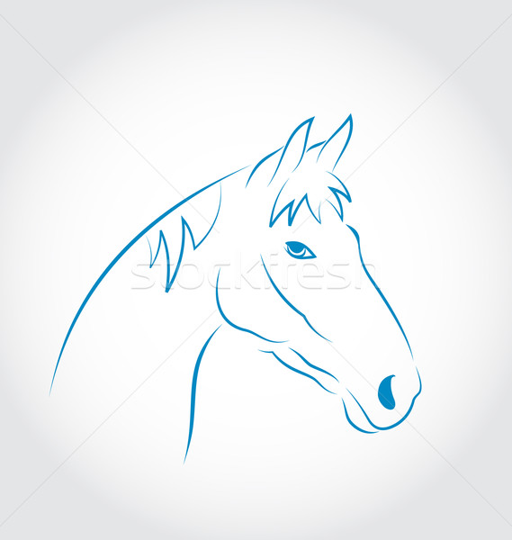 Hand drawn head horse isolated on white background Stock photo © smeagorl